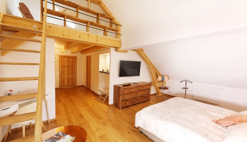 Room, Accessible (Blegny)