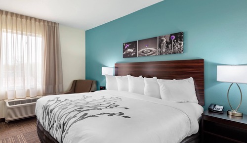 Standard Room, 1 King Bed, Non Smoking