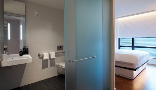 Room, 1 King Bed (Mobility Accessible, Roll-In Shower)