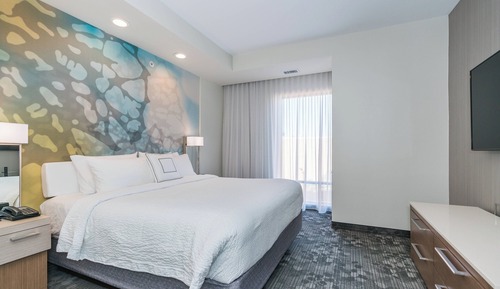 Suite, 1 King Bed with Sofa bed