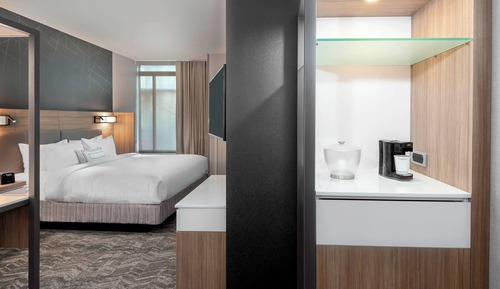 Suite, 1 King Bed with Sofa bed