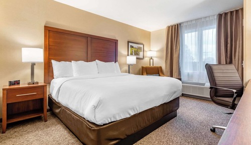 Standard Room, 1 King Bed, Non Smoking