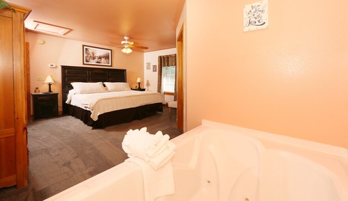 House, 1 King Bed with Sofa bed, Hot Tub, Mountain View