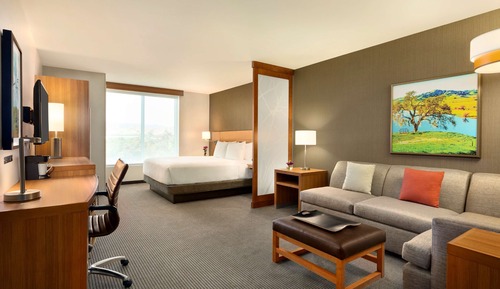 Room, 1 King Bed with Sofa bed