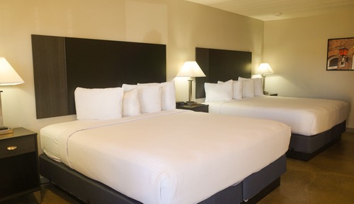 King King Pet Friendly