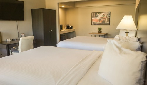 King Queen Queen Pet Friendly Suite