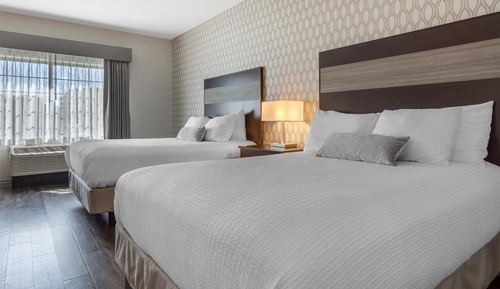 Suite, 2 Queen Beds, Non Smoking, Kitchenette