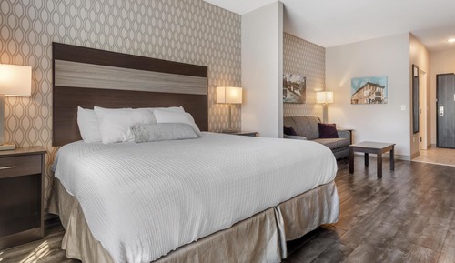 Suite, 1 King Bed, Non Smoking, Refrigerator & Microwave (with Sofabed)
