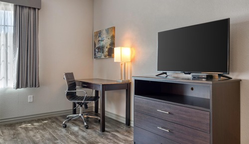 Suite, 1 King Bed, Non Smoking, Kitchenette (with Sofabed)