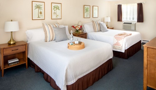 Deluxe Efficiency Suite