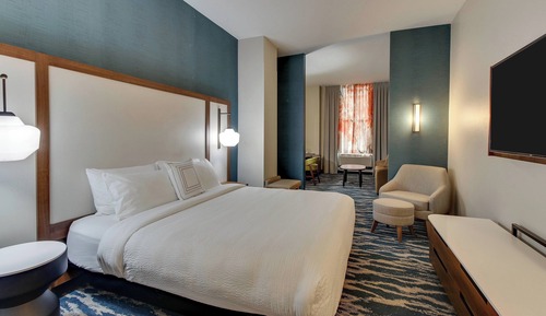 Suite, 1 King Bed with Sofa bed