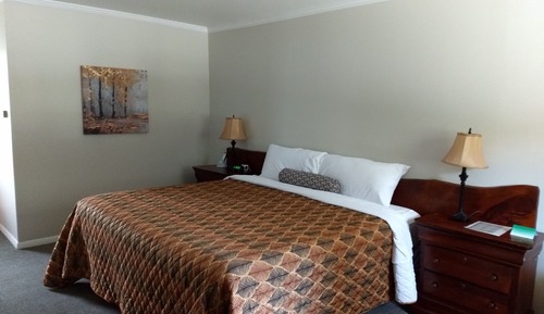 Standard Room, 1 King Bed, Mountain View