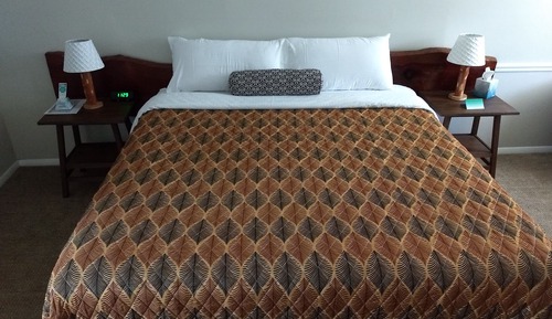 Standard Room, 1 King Bed, Mountain View, Pet Friendly