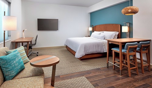 Studio, 1 King Bed with Sofa bed (Mobility/Hearing Access, Roll-in Shwr)