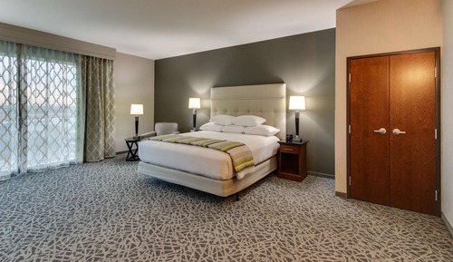Room, 1 King Bed, Hearing Accessible (Upper Floor, Roll-in Shower)