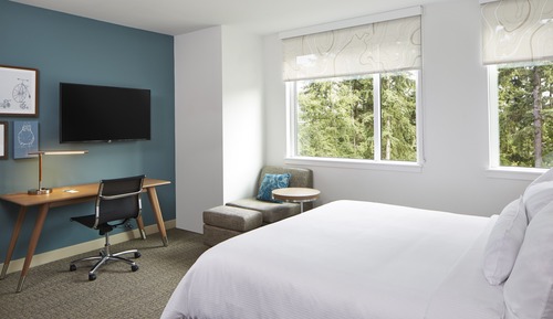 Single Room, 1 King Bed