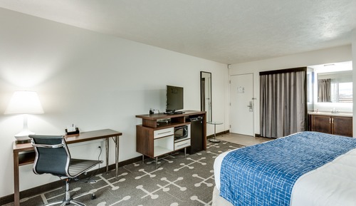 Room, 1 Queen Bed, Non Smoking