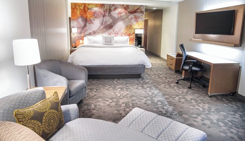 Room, 1 King Bed with Sofa bed