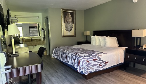 Standard Single Room, 1 King Bed