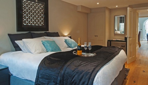 Luxury Apartment, Private Bathroom (Patio)