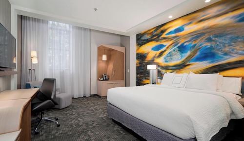 Room, 1 King Bed (Mobility/Hearing Access, Roll-In Shwr)