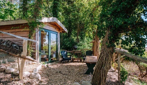 Panoramic Tree House