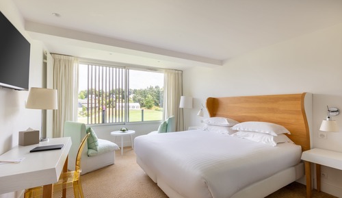 Classic Room, 1 Queen Bed, Non Smoking, Park View