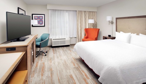 Room, 1 King Bed, Accessible, Non Smoking (Mobility & Hearing, Roll-in Shower)
