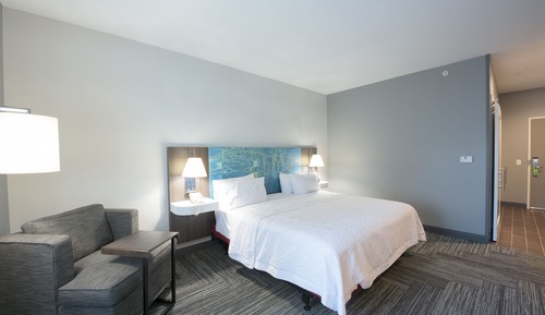 Room, 1 King Bed with Sofa bed, Accessible (Roll-in Shower)