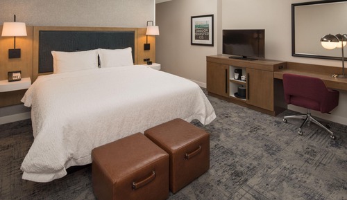 Room, 1 King Bed