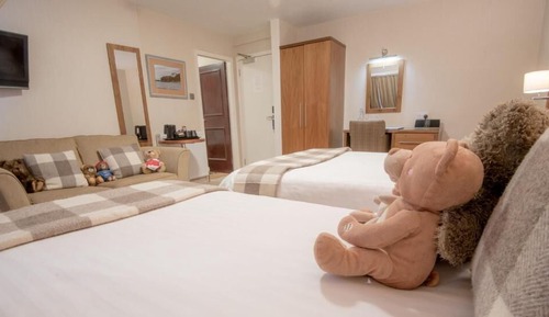 Family Room, Multiple Beds