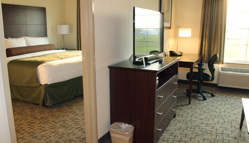 Suite, 1 King Bed with Sleeper Sofa, Non Smoking