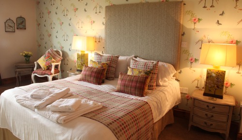 Superior Family Room (Sleeps 4)