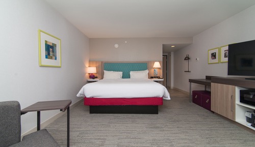 Room, 1 King Bed, Non Smoking, Refrigerator & Microwave