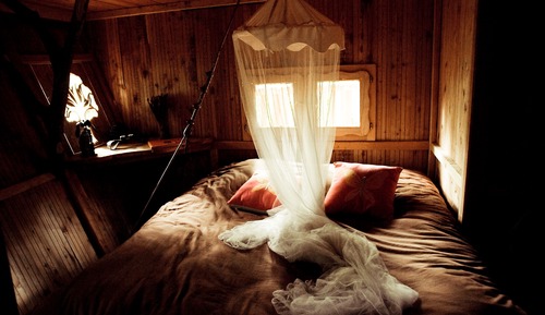 Traditional Tree House (El sueno)