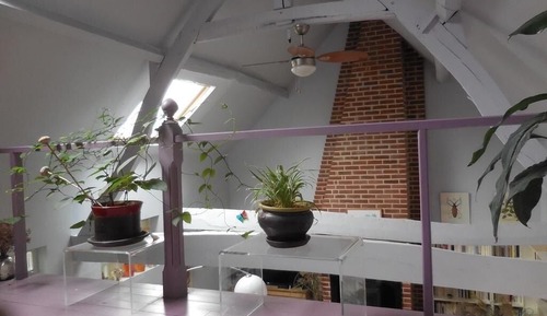 Comfort Cottage, Ensuite, Garden View (L'atelier du cottage)