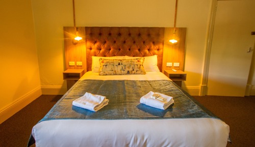 Family Room (1 Queen & 1 Bunk)