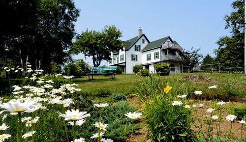 Suite, 2 Bedrooms, Garden View (Pine Forest) No Kitchen