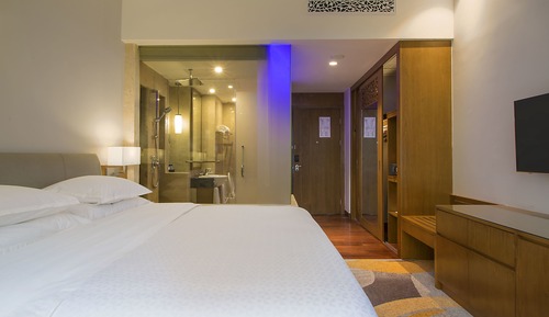 Room, 1 King Bed, City View