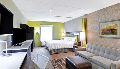 Studio, 1 King Bed, Mountain View