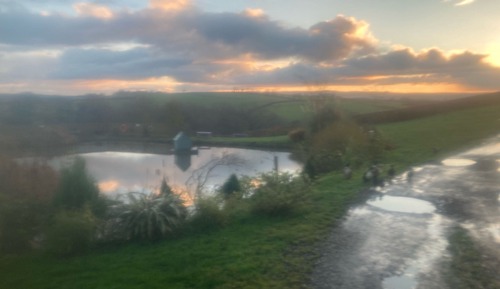 Cottage, Accessible, Ensuite (The retreat)