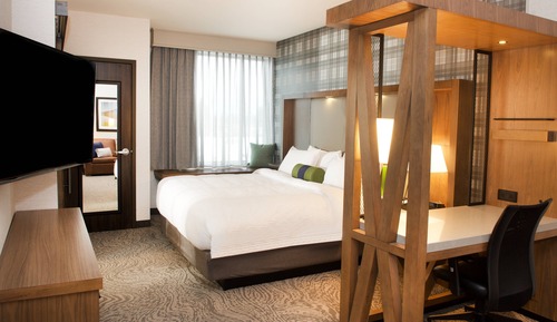 Suite, 1 King Bed with Sofa bed