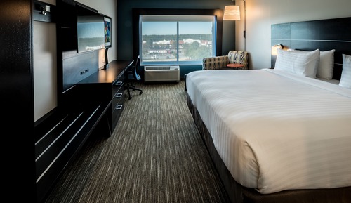 Standard Room, 1 King Bed, Accessible (Mobility, Roll-In Shower)