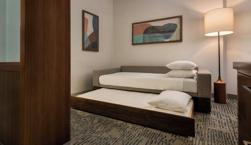 Suite, 1 King Bed (Mobility Accessible, Roll-in Shower)