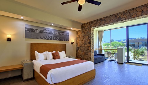 Deluxe Villa (Master)