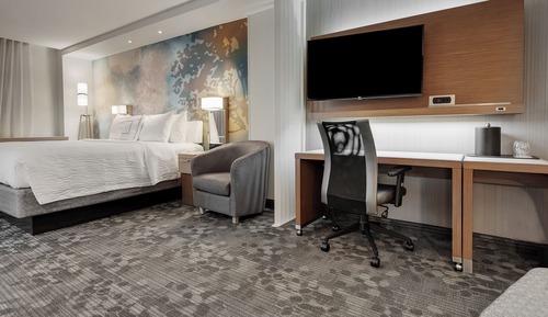 Room, 1 King Bed with Sofa bed (Hearing Accessible)