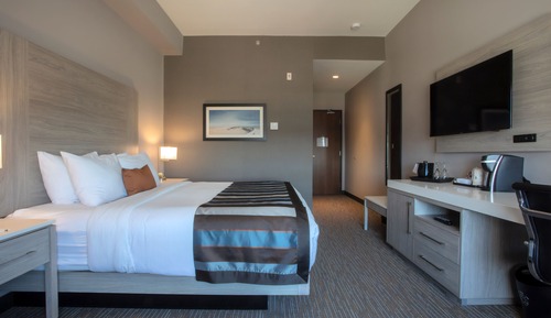 Room, 1 King Bed, Non Smoking