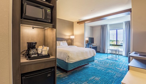 Suite, 1 King Bed with Sofa bed