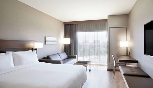 Room, 1 King Bed with Sofa bed