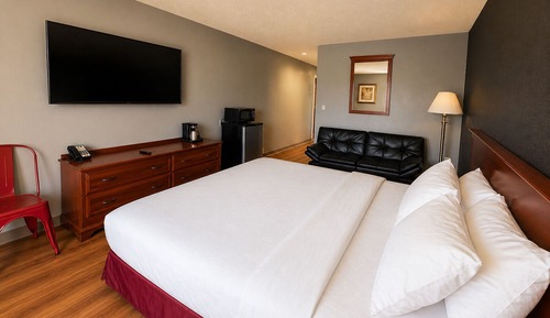Standard Room, 1 King Bed (King ADA)